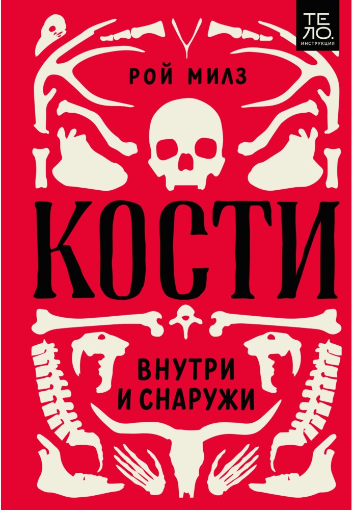 Кістки: всередині та зовні