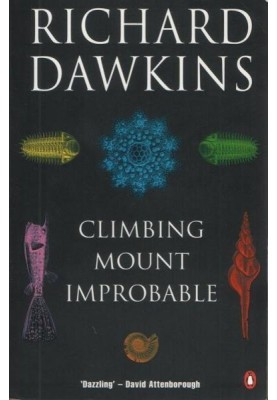 Climbing Mount Improbable