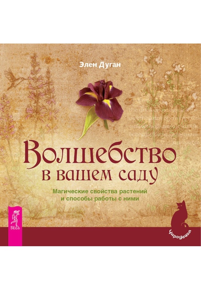 Чари у вашому саду. Магічні властивості рослин та способи роботи з ними