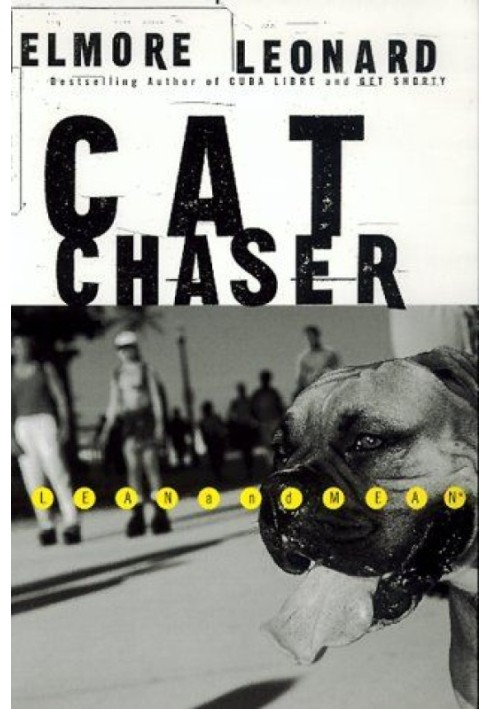 Cat Chaser