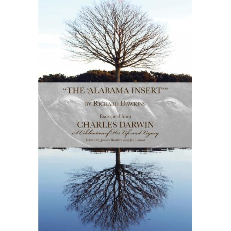 «Алабамська вставка»