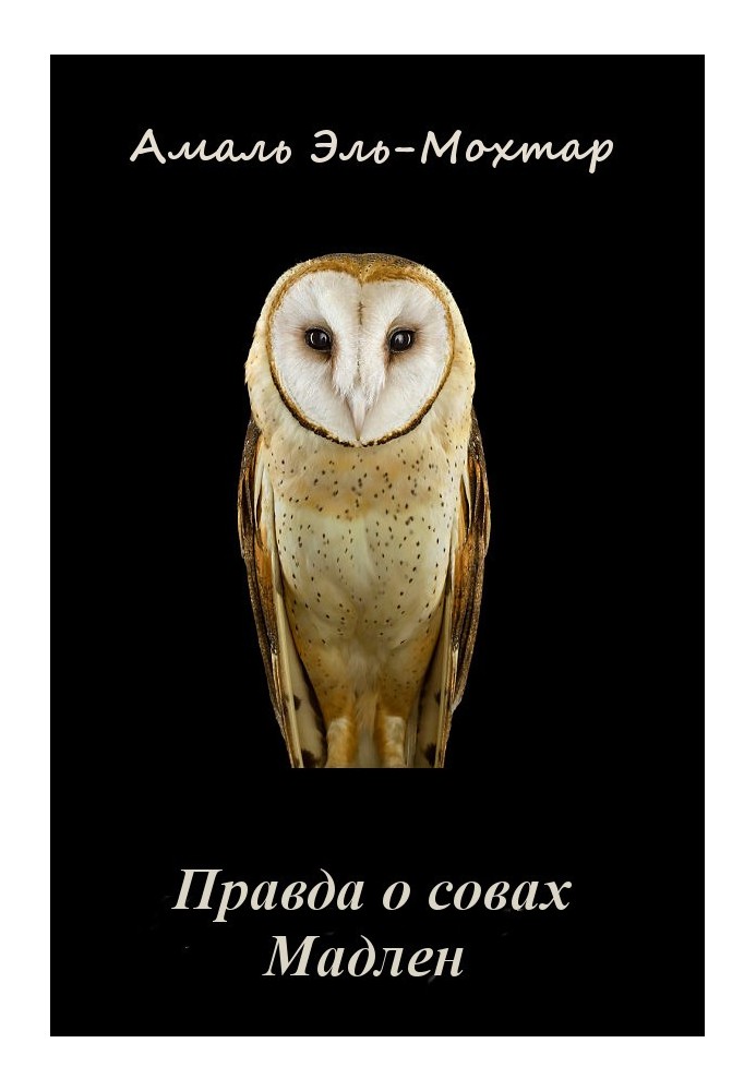 The truth about owls. Madeleine