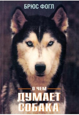 О чем думает собака
