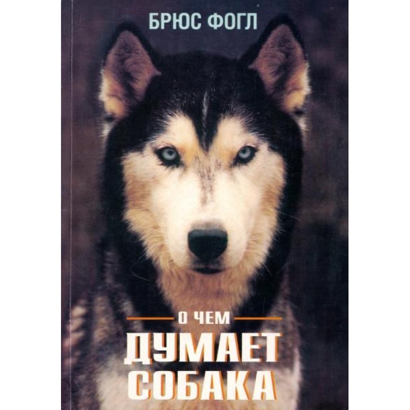 What is the dog thinking...