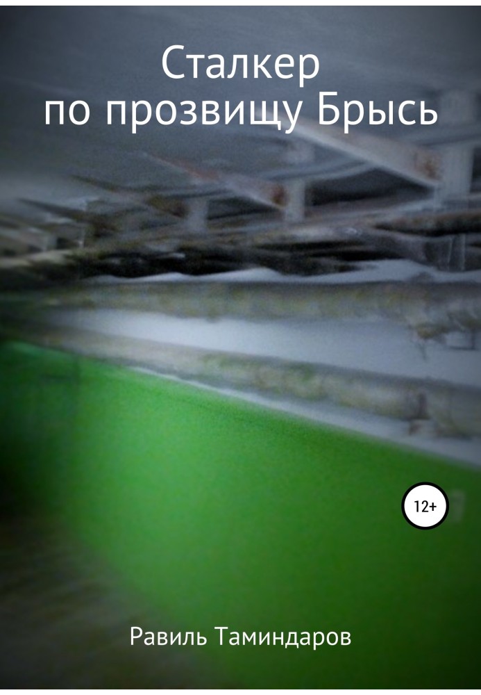 Сталкер на прізвисько Брись