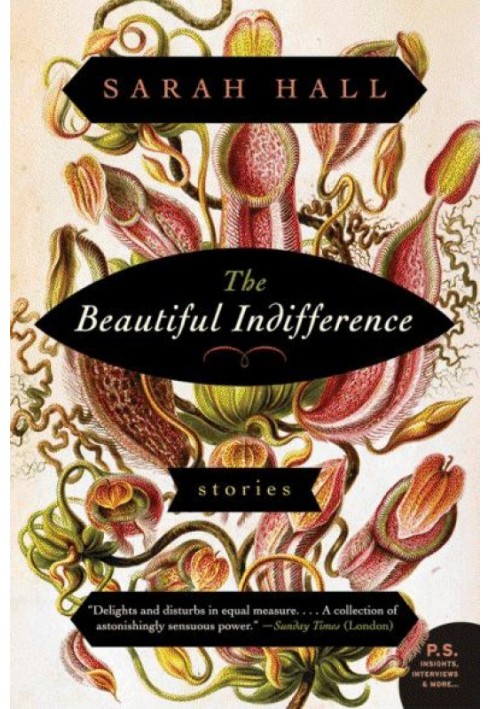 The Beautiful Indifference: Stories