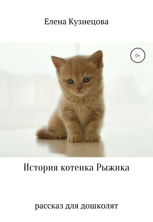 The story of the kitten Ryzhik