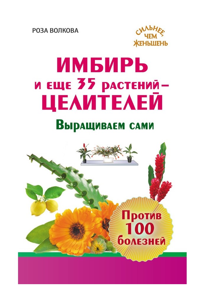 Імбир та ще 35 рослин-цілителів. Вирощуємо самі. Проти 100 хвороб
