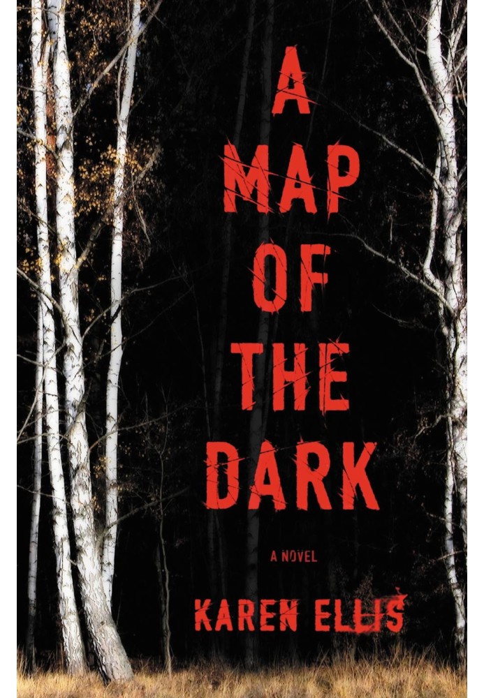 A Map of the Dark