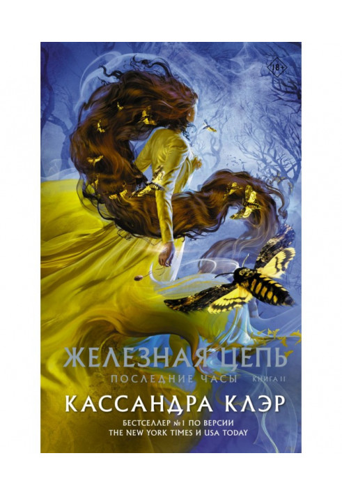 Последние часы. Книга II. Железная цепь