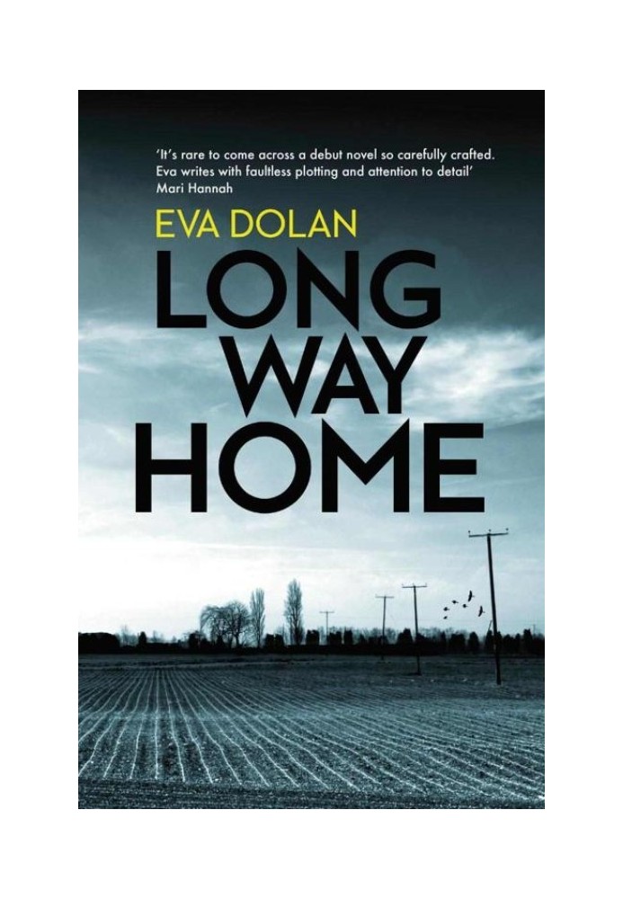 Long Way Home