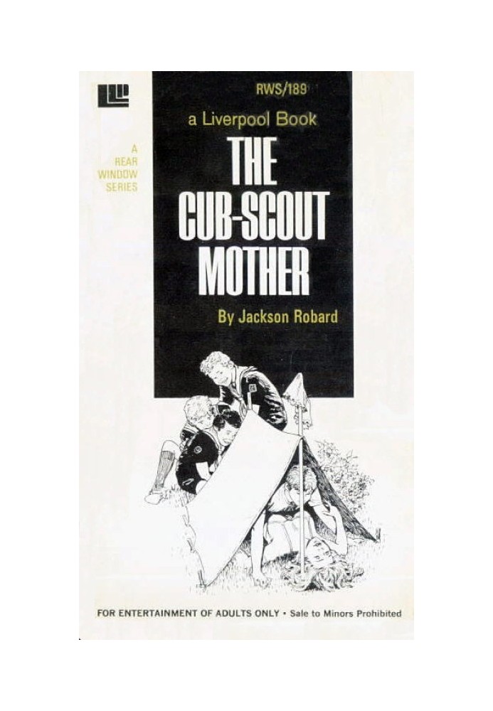 The cub-scout mother