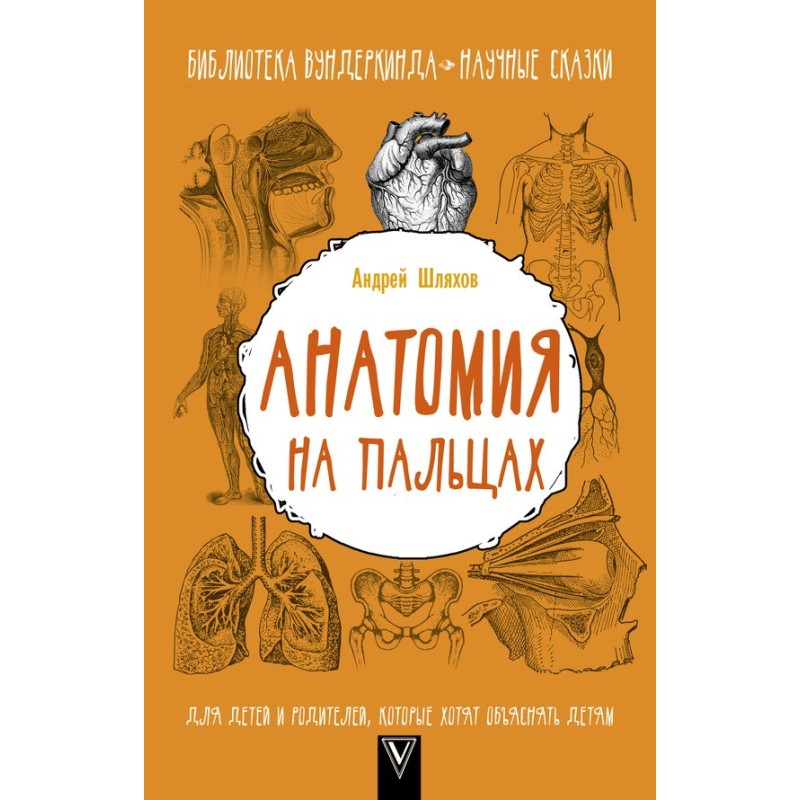 Anatomy on the fingers