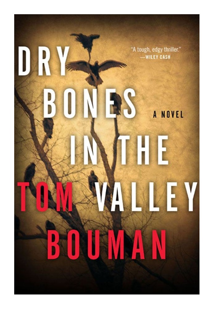 Dry Bones in the Valley