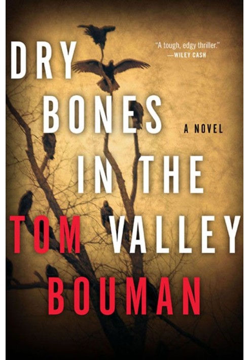 Dry Bones in the Valley