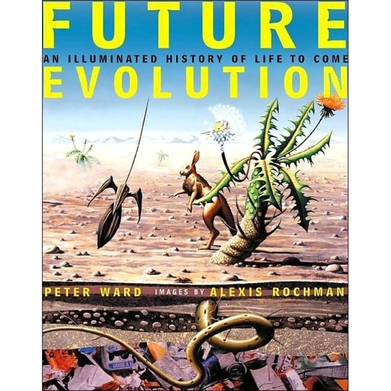 Evolution of the future