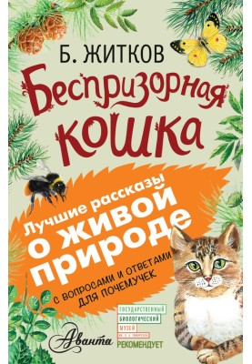 Stray cat