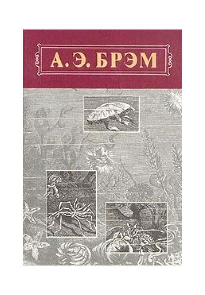 Життя тварин, Том III, Плазуни. Земноводні. Риби