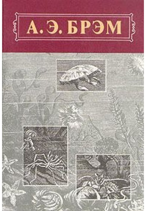 Життя тварин, Том III, Плазуни. Земноводні. Риби