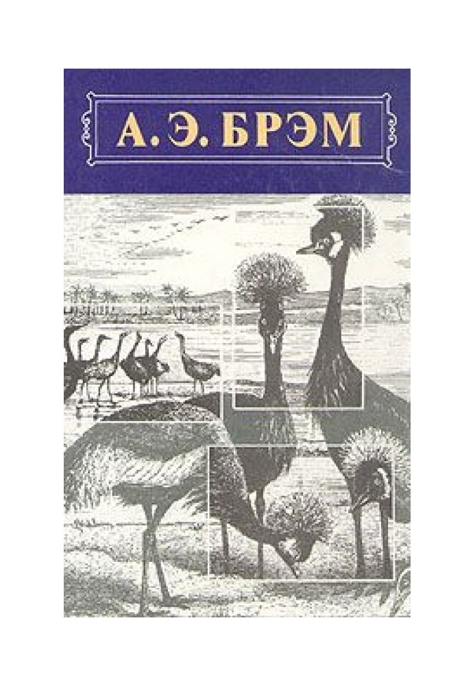 Animal Life, Volume II, Birds