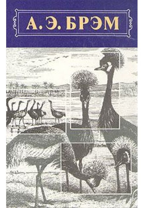 Animal Life, Volume II, Birds