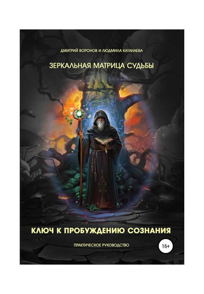 Дзеркальна Матриця долі. Ключ до пробудження свідомості. Практичний посібник