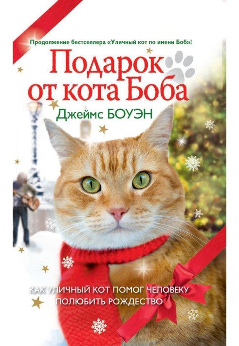 A gift from Bob the cat. How a street cat helped a man fall in love with Christmas