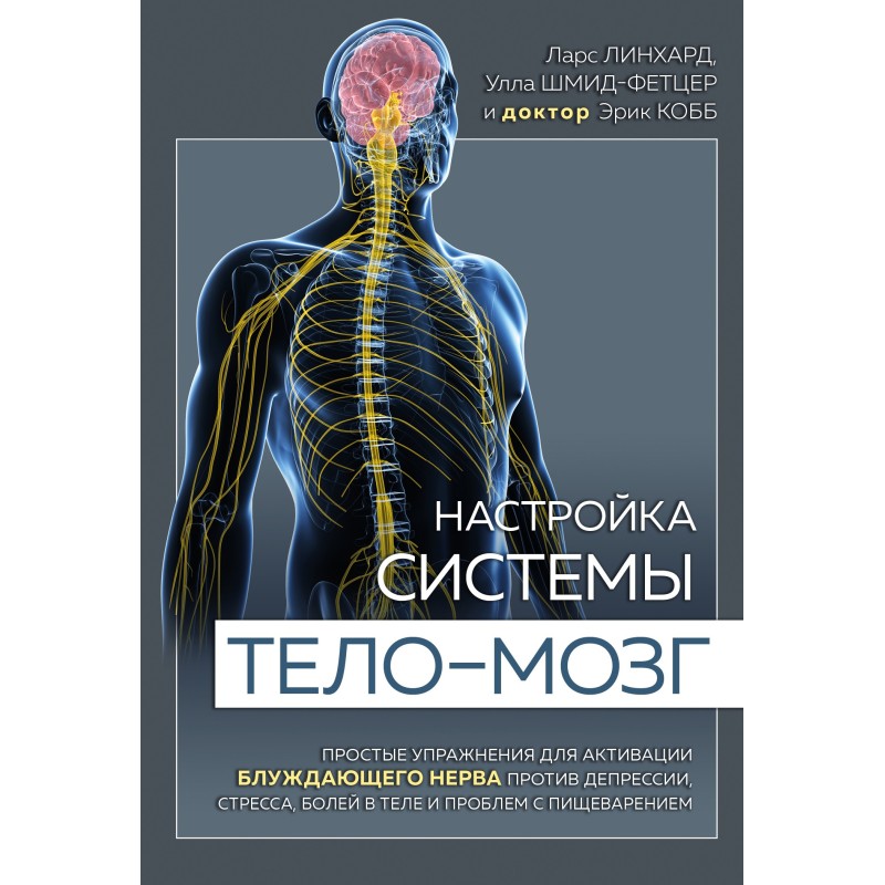 Setting up the body-brain...