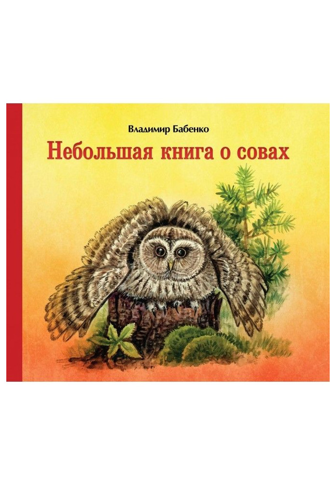 Небольшая книга о совах