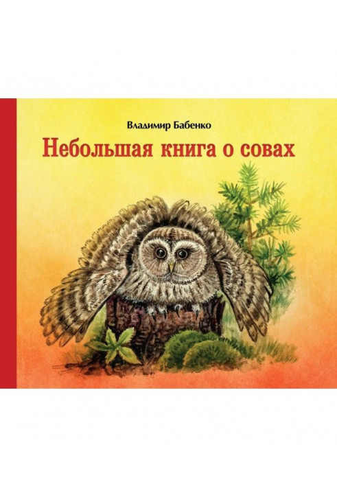 Небольшая книга о совах