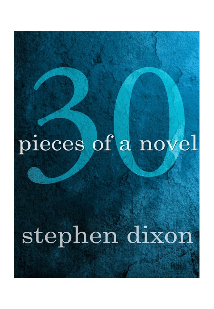 30 Pieces of a Novel