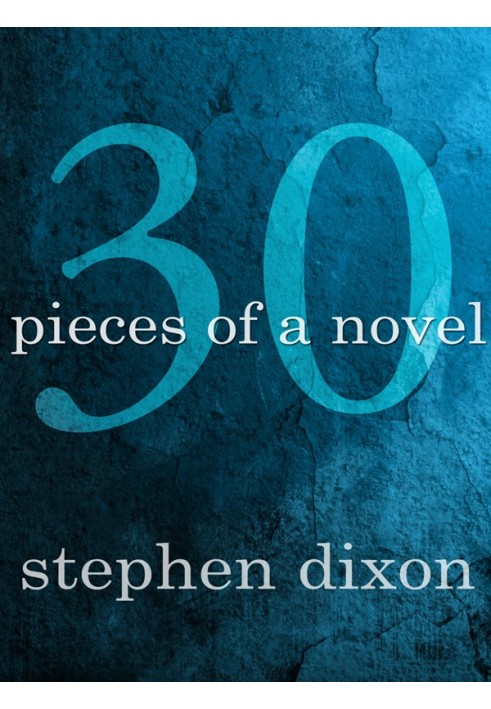 30 Pieces of a Novel