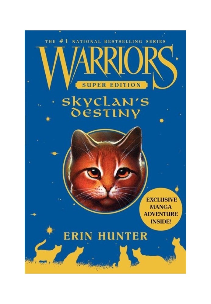 Skyclan’s Destiny