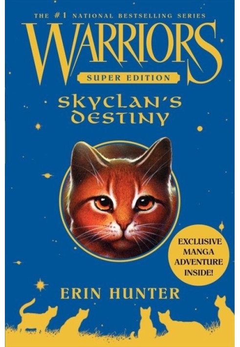 Skyclan’s Destiny