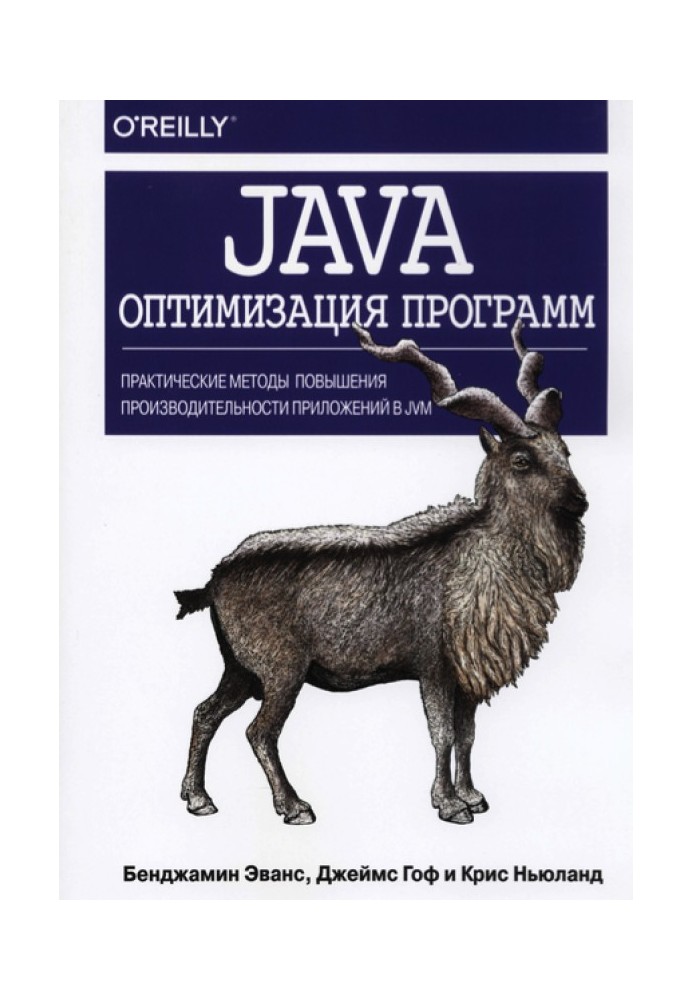 Java: program optimization. Practical techniques for improving application performance in the JVM.