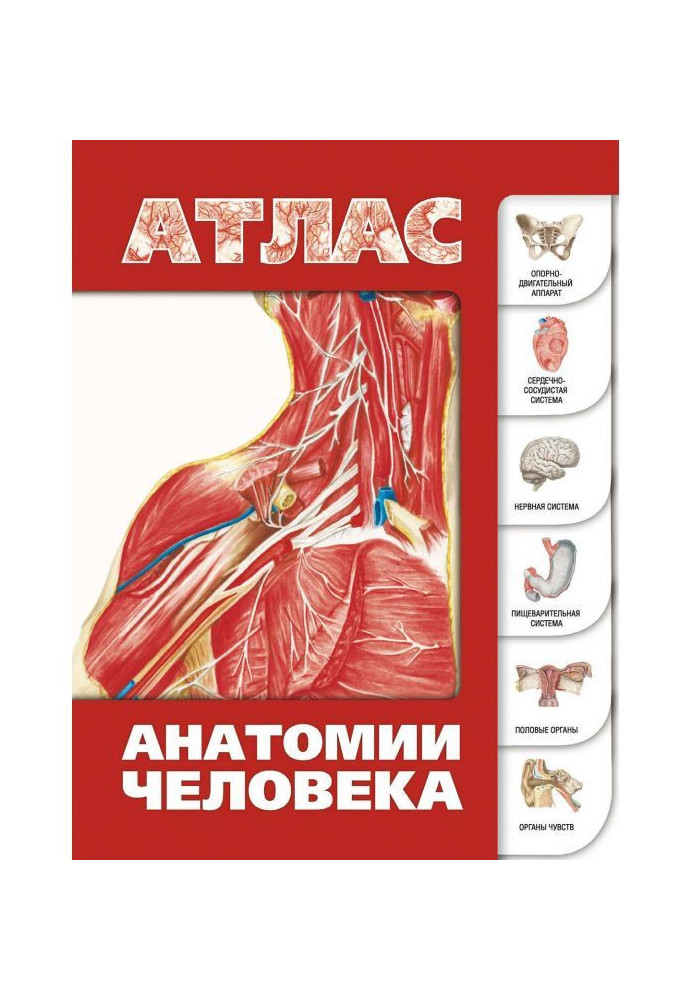 Atlas of human anatomy