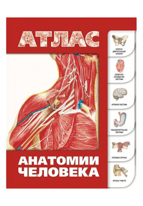 Atlas of human anatomy