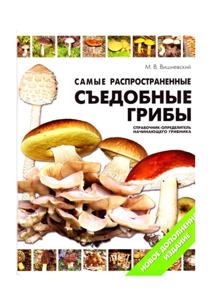 The most common edible mushrooms