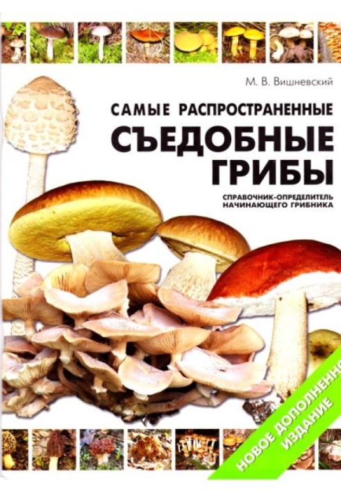 The most common edible mushrooms