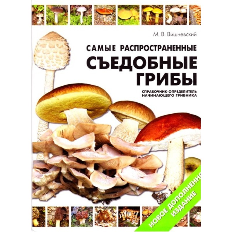 Самые распространенные...