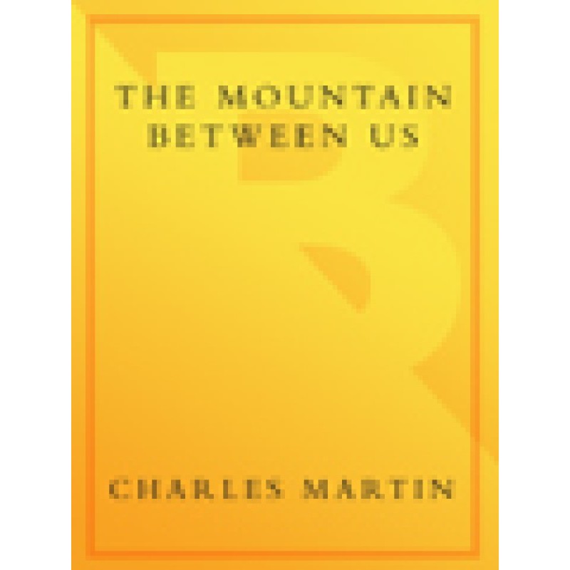 The Mountain Between Us
