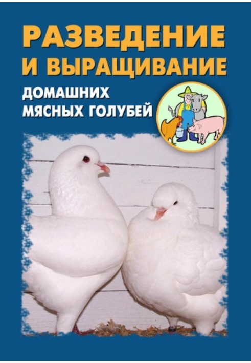 Розведення та вирощування домашніх м'ясних голубів