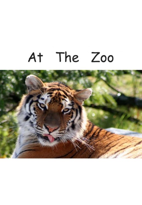 At The Zoo