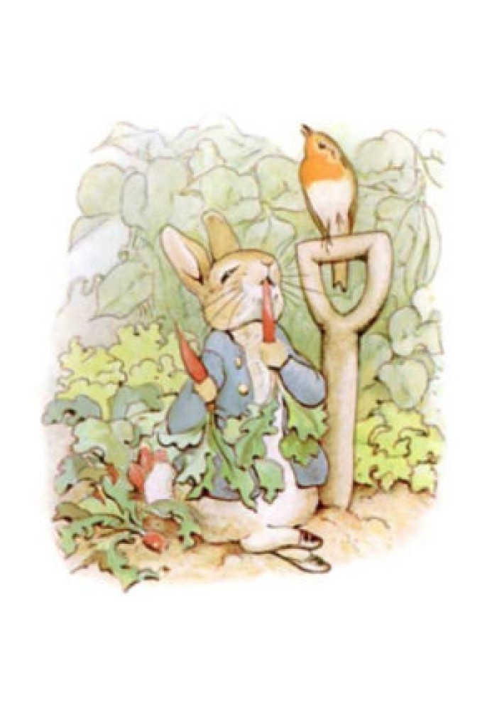 The Tale of Peter Rabbit