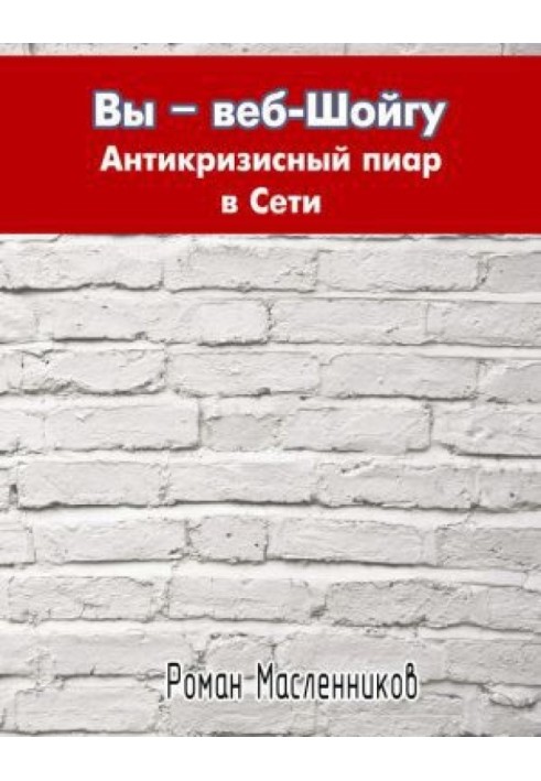 Ви – веб-Шойгу. Антикризовий піар у Мережі