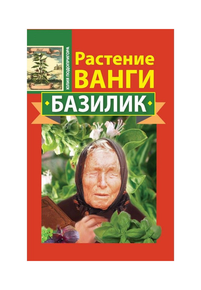 Растение Ванги. Базилик