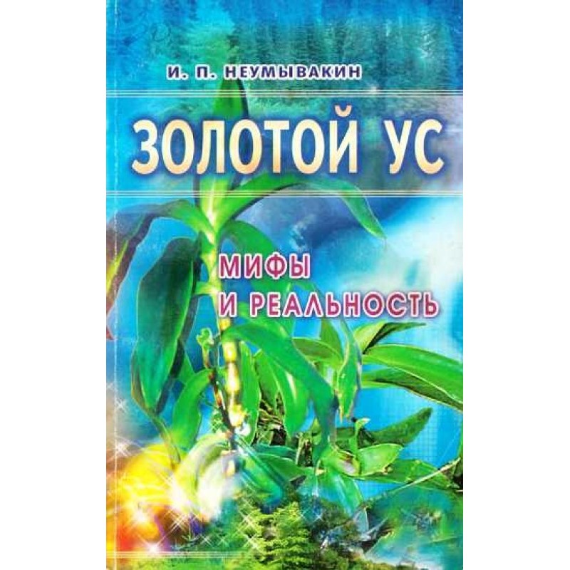 Золотой ус: мифы и реальность