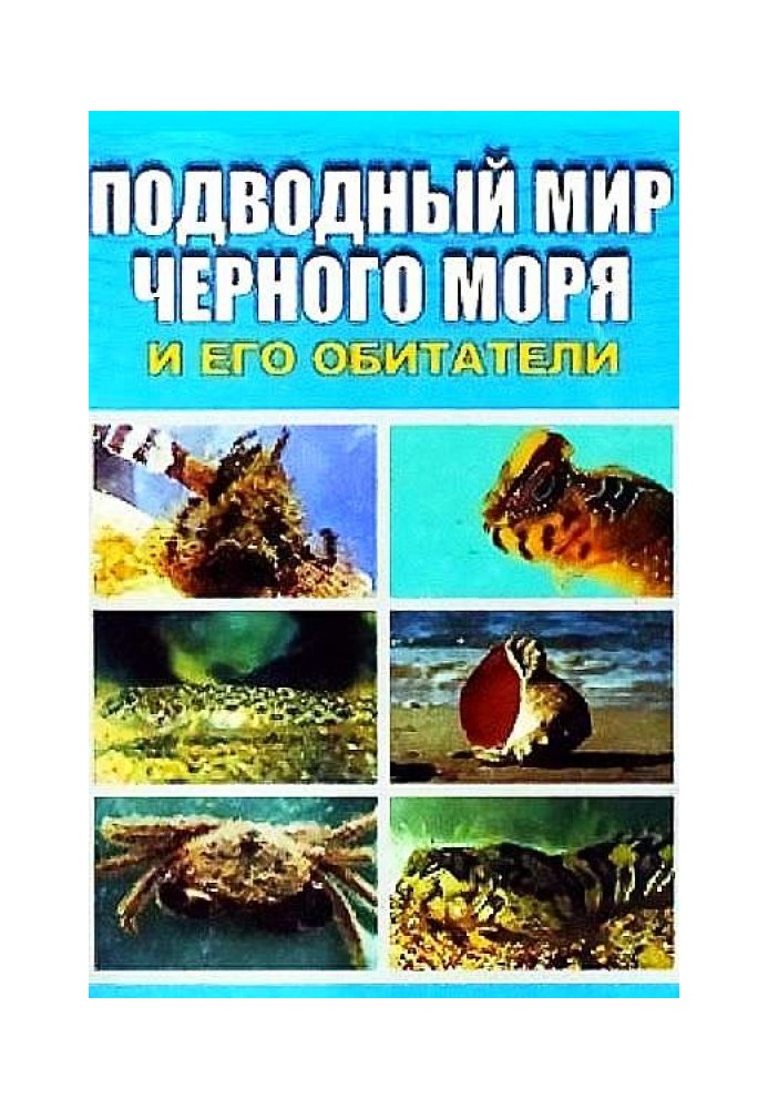 Underwater world of the Black Sea