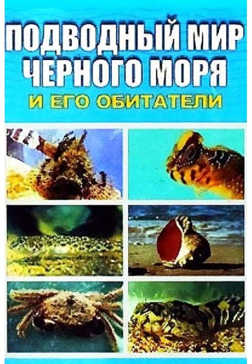 Underwater world of the Black Sea