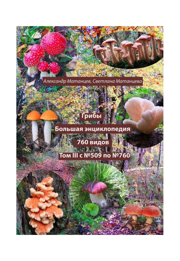 Mushrooms. Big encyclopedia. 760 species. Volume III. From #509 to #760